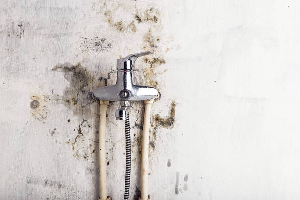 Best Mold Testing and Inspection Services in Robins Af, GA