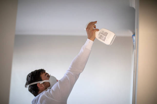 Best Emergency Mold Remediation in Robins Af, GA