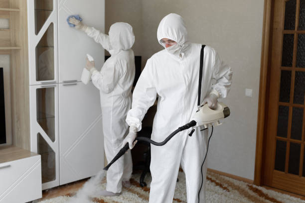 Best Residential Mold Remediation in Robins Af, GA